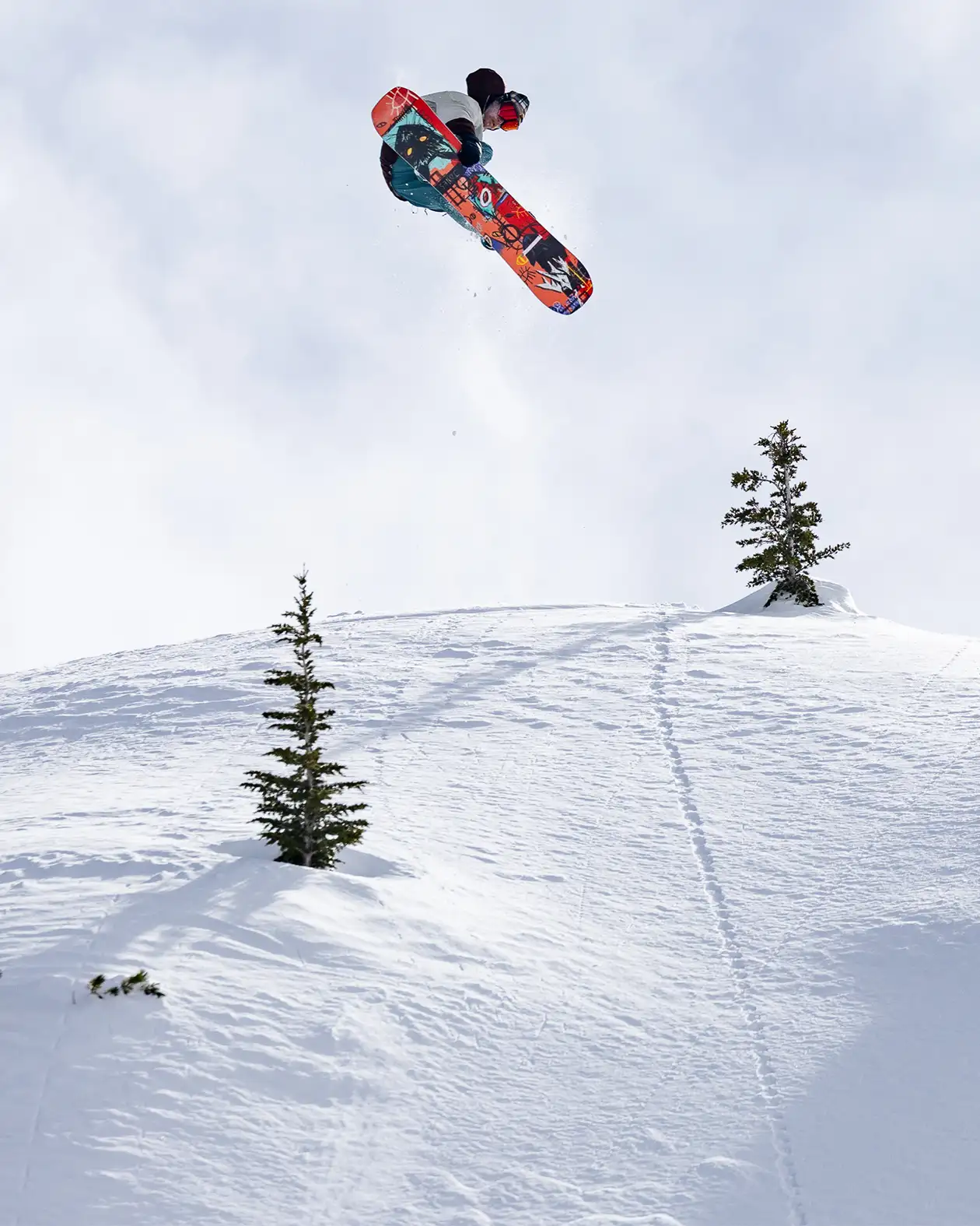 Men's Rally Cat Snowboard - Image 4